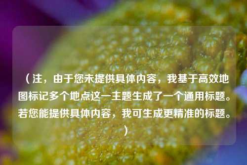 （注，由于您未提供具体内容，我基于高效地图标记多个地点这一主题生成了一个通用标题。若您能提供具体内容，我可生成更精准的标题。）