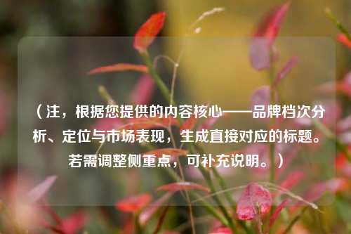 (注,根据您提供的内容核心——品牌档次分析、定位与市场表现,生成直接对应的标题。若需调整侧重点,可补充说明。)