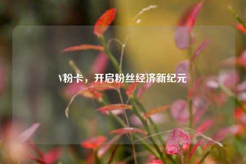V粉卡,开启粉丝经济新纪元