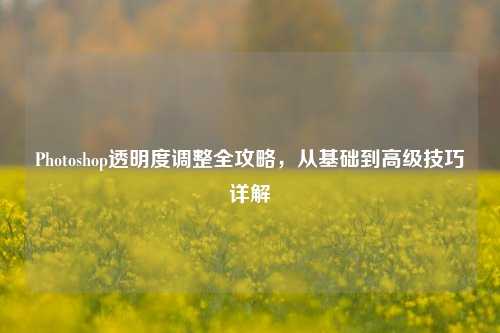 Photoshop透明度调整全攻略,从基础到高级技巧详解