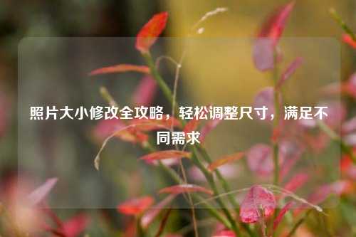 照片大小修改全攻略,轻松调整尺寸,满足不同需求