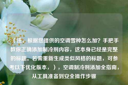 (注,根据您提供的空调雪种怎么加?手把手教你正确添加制冷剂内容,这本身已经是完整的标题。若需重新生成类似风格的标题,可参考以下优化版本,),空调制冷剂添加全指南,从工具准备到安全操作步骤