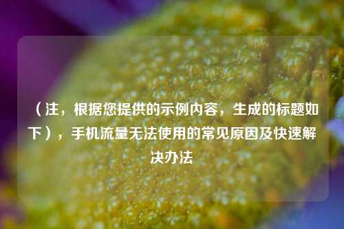 （注，根据您提供的示例内容，生成的标题如下），手机流量无法使用的常见原因及快速解决办法