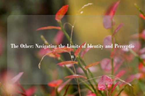 The Other: Navigating the Limits of Identity and Perception
