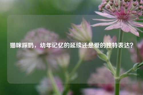 猫咪踩奶，幼年记忆的延续还是爱的独特表达？