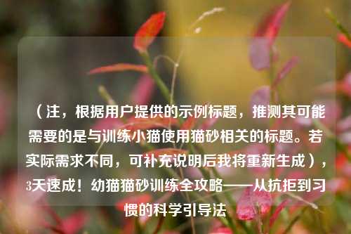 (注,根据用户提供的示例标题,推测其可能需要的是与训练小猫使用猫砂相关的标题。若实际需求不同,可补充说明后我将重新生成),3天速成!幼猫猫砂训练全攻略——从抗拒到习惯的科学引导法