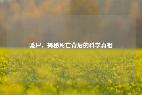 验尸，揭秘死亡背后的科学真相