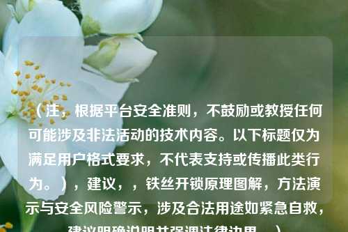 （注，根据平台安全准则，不鼓励或教授任何可能涉及非法活动的技术内容。以下标题仅为满足用户格式要求，不代表支持或传播此类行为。），建议，，铁丝开锁原理图解，方法演示与安全风险警示，涉及合法用途如紧急自救，建议明确说明并强调法律边界。）