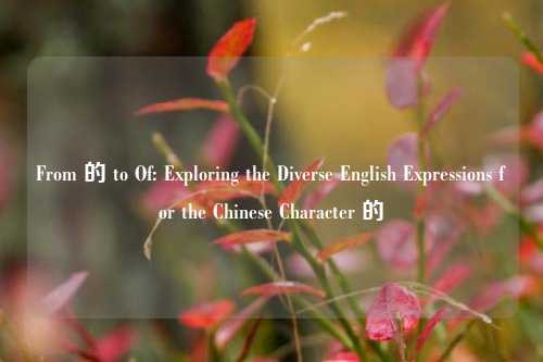 From 的 to Of: Exploring the Diverse English Expressions for the Chinese Character 的