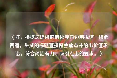 (注,根据您提供的钢化膜白边困扰这一核心问题,生成的标题直接聚焦痛点并给出价值承诺,符合简洁有力、吸引点击的要求。)