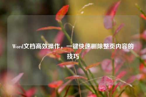Word文档高效操作，一键快速删除整页内容的技巧