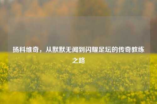 扬科维奇，从默默无闻到闪耀足坛的传奇教练之路