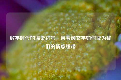 数字时代的温柔符号，害羞颜文字如何成为我们的情感纽带
