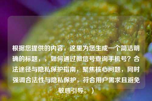 根据您提供的内容，这里为您生成一个简洁明确的标题，，如何通过微信号查询手机号？合法途径与隐私保护指南，聚焦核心问题，同时强调合法性与隐私保护，符合用户需求且避免敏感引导。）