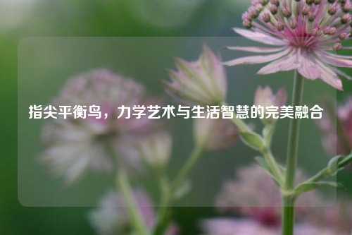 指尖平衡鸟，力学艺术与生活智慧的完美融合