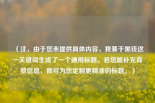 (注,由于您未提供具体内容,我基于黑钱这一关键词生成了一个通用标题。若您能补充背景信息,我可为您定制更精准的标题。)