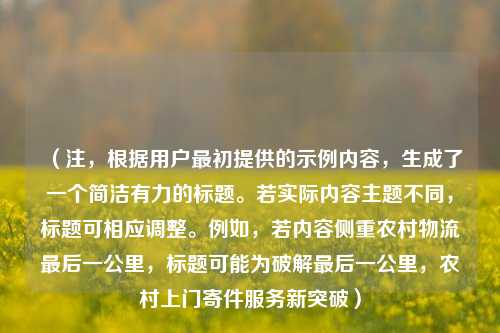 (注,根据用户最初提供的示例内容,生成了一个简洁有力的标题。若实际内容主题不同,标题可相应调整。例如,若内容侧重农村物流最后一公里,标题可能为破解最后一公里,农村上门寄件服务新突破)