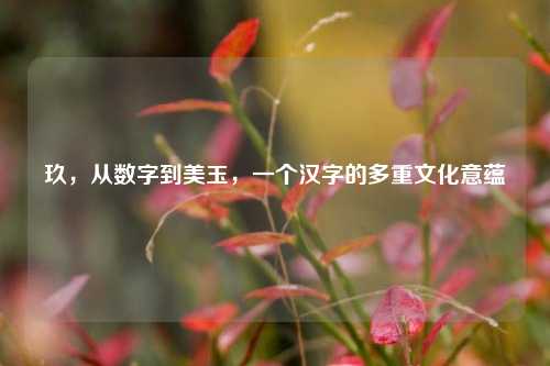 玖，从数字到美玉，一个汉字的多重文化意蕴