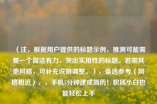 （注，根据用户提供的标题示例，推测可能需要一个简洁有力、突出实用性的标题。若需其他风格，可补充说明调整。），备选参考（风格相近），，手机5分钟速成简历！职场小白也能轻松上手