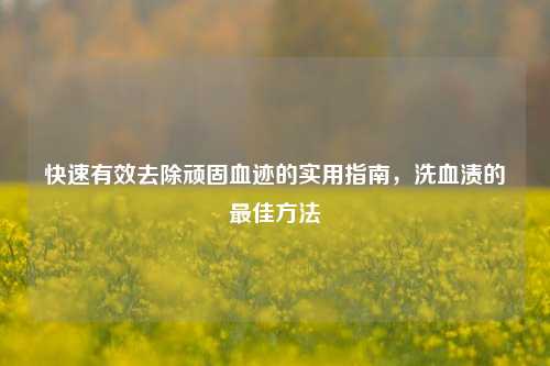 快速有效去除顽固血迹的实用指南,洗血渍的最佳方法
