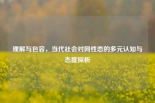 理解与包容,当代社会对同性恋的多元认知与态度探析