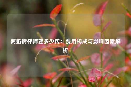 离婚请律师要多少钱：费用构成与影响因素解析