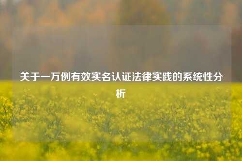 关于一万例有效实名认证法律实践的系统性分析
