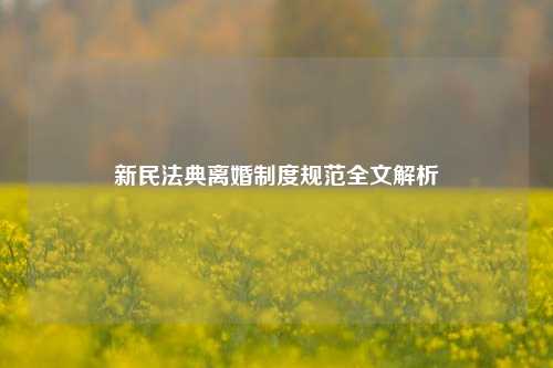新民法典离婚制度规范全文解析
