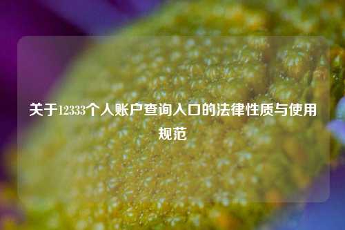 关于12333个人账户查询入口的法律性质与使用规范