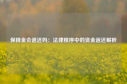 保释金会退还吗：法律程序中的资金返还解析