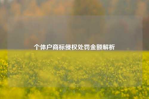 个体户商标侵权处罚金额解析