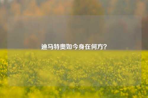 迪马特奥如今身在何方？