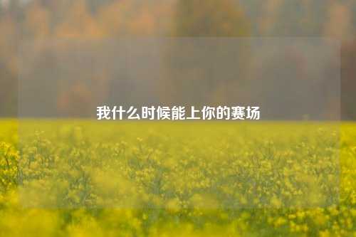 我什么时候能上你的赛场