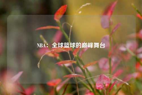 NBA：全球篮球的巅峰舞台