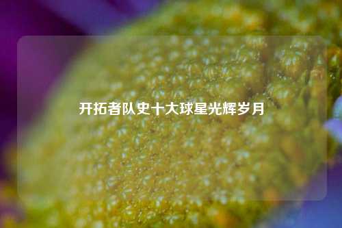 开拓者队史十大球星光辉岁月