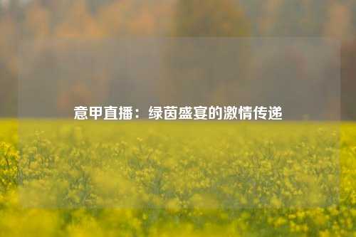意甲直播：绿茵盛宴的激情传递