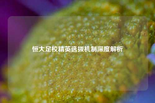 恒大足校精英选拔机制深度解析