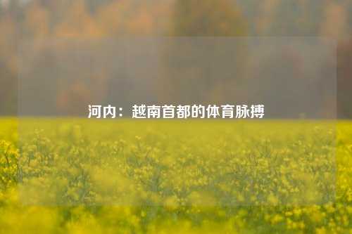 河内：越南首都的体育脉搏