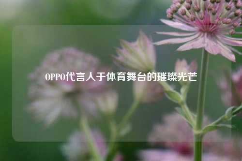 OPPO代言人于体育舞台的璀璨光芒