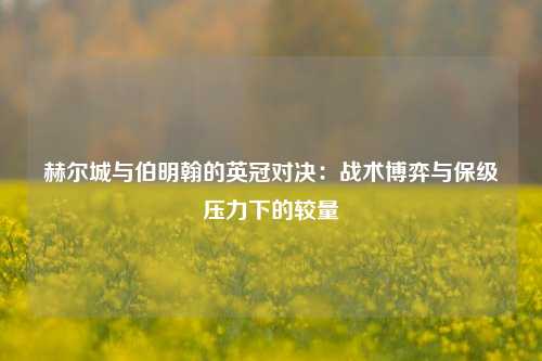 赫尔城与伯明翰的英冠对决：战术博弈与保级压力下的较量