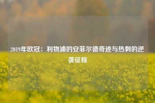 2019年欧冠：利物浦的安菲尔德奇迹与热刺的逆袭征程