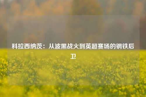 科拉西纳茨：从波黑战火到英超赛场的钢铁后卫