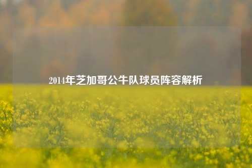 2014年芝加哥公牛队球员阵容解析