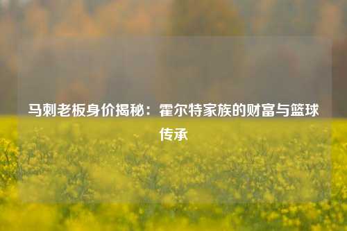 马刺老板身价揭秘：霍尔特家族的财富与篮球传承