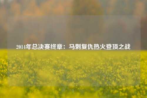 2014年总决赛终章：马刺复仇热火登顶之战