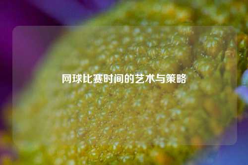 网球比赛时间的艺术与策略