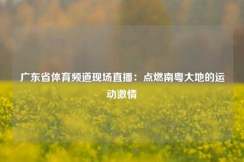 广东省体育频道现场直播：点燃南粤大地的运动激情
