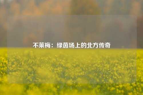 不莱梅：绿茵场上的北方传奇