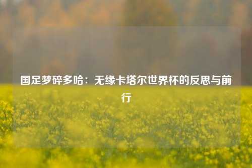 国足梦碎多哈：无缘卡塔尔世界杯的反思与前行