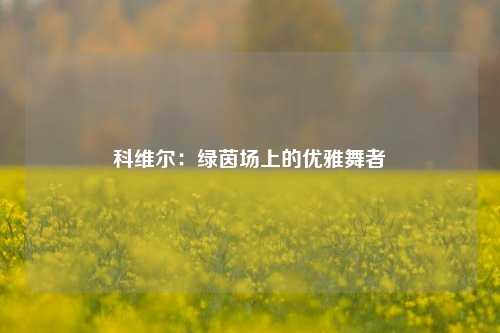 科维尔：绿茵场上的优雅舞者